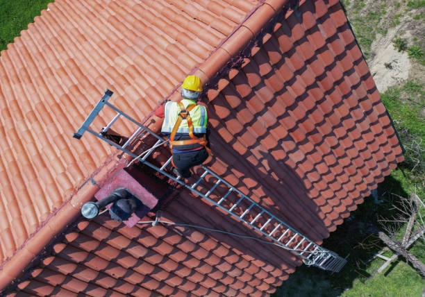 Best Roof Coating and Sealing  in Albion, IL